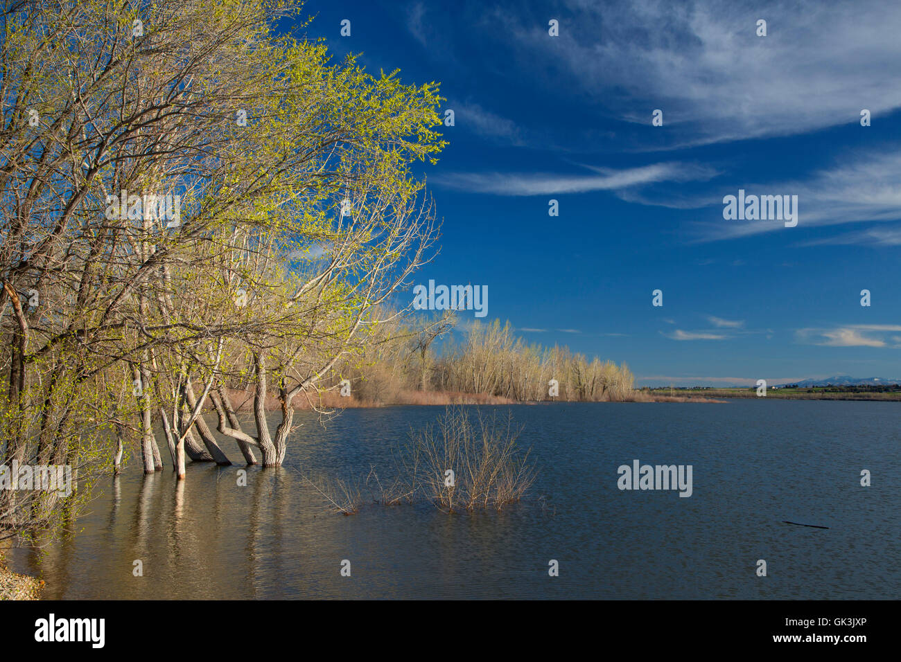 Lake Lowell, Deer Flat National Wildlife Refuge, Idaho Stock Photo Alamy