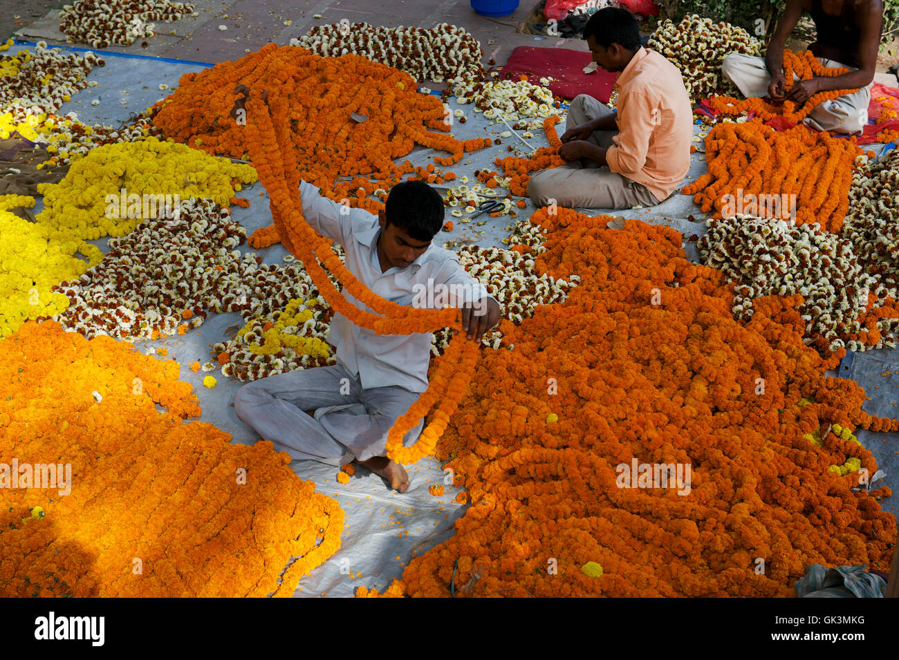 NorthCentral India, India Vendors prepare marigolds to adorn