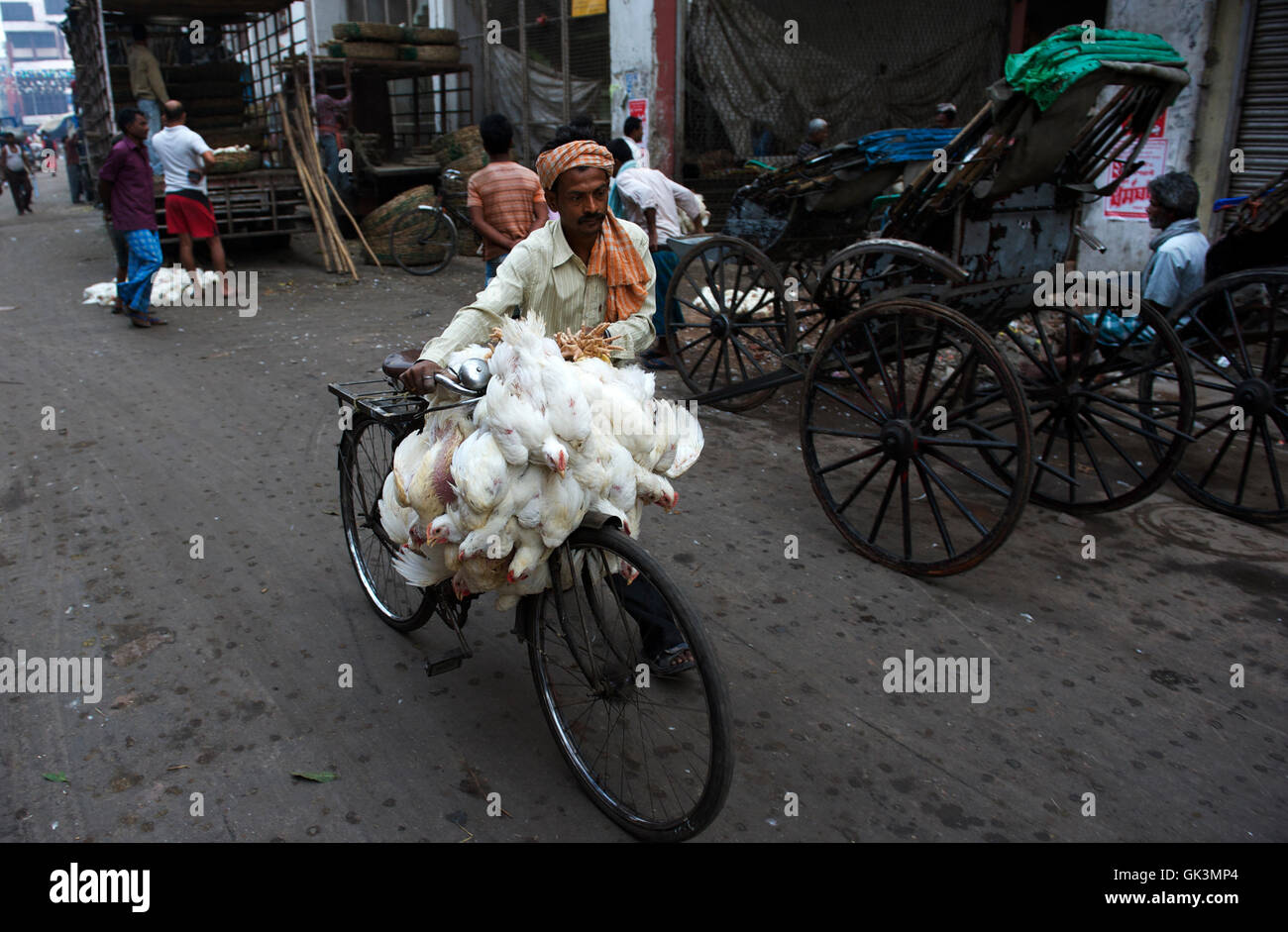 29 Feb 2012, Calcutta, Bengal, India --- Calcutta, West Bengal, India --- Image by © Jeremy Horner Stock Photo