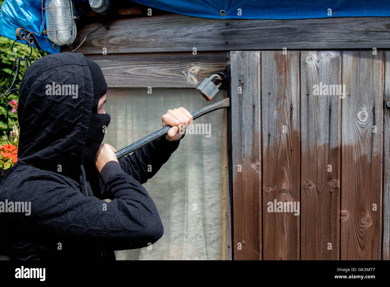 Burglar breaking and entering Stock Photo Alamy