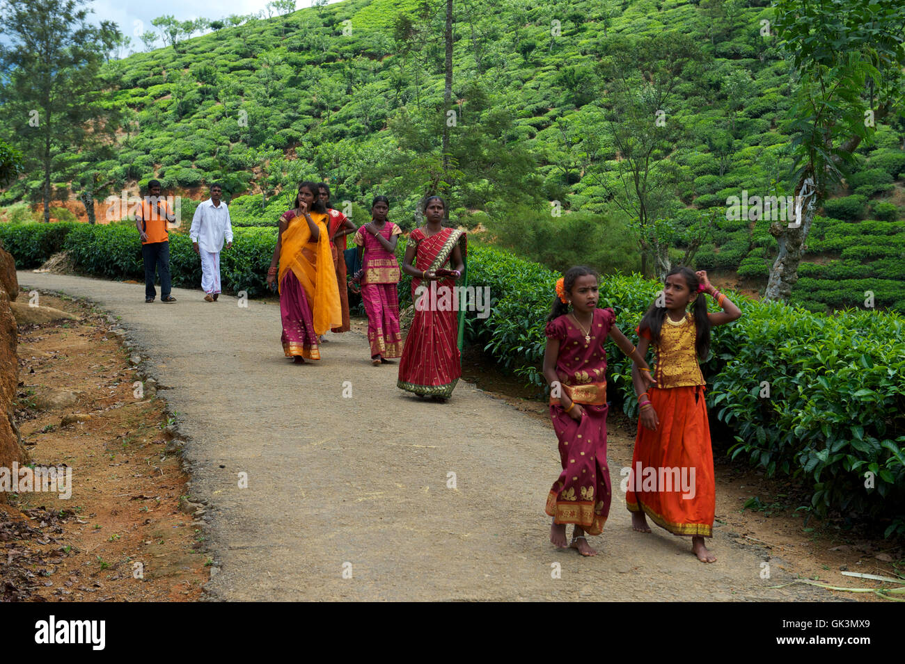 14 Apr 2012, Hatton, Sri Lanka --- Tamil festival, Hatton, Sri Lanka --- Image by © Jeremy Horner Stock Photo
