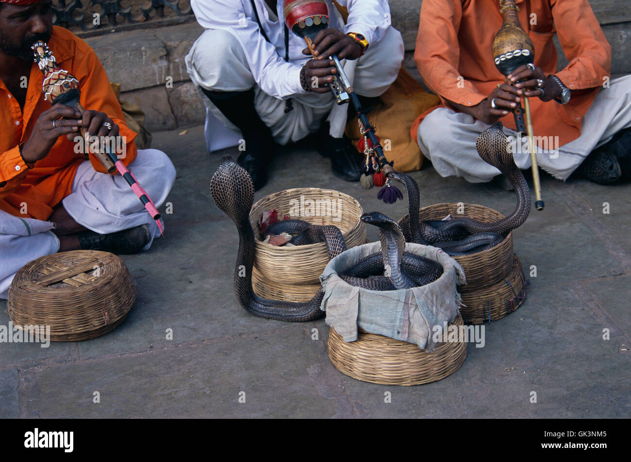 Snake Charmers in India Defy Laws to Practice Tradition: Photos