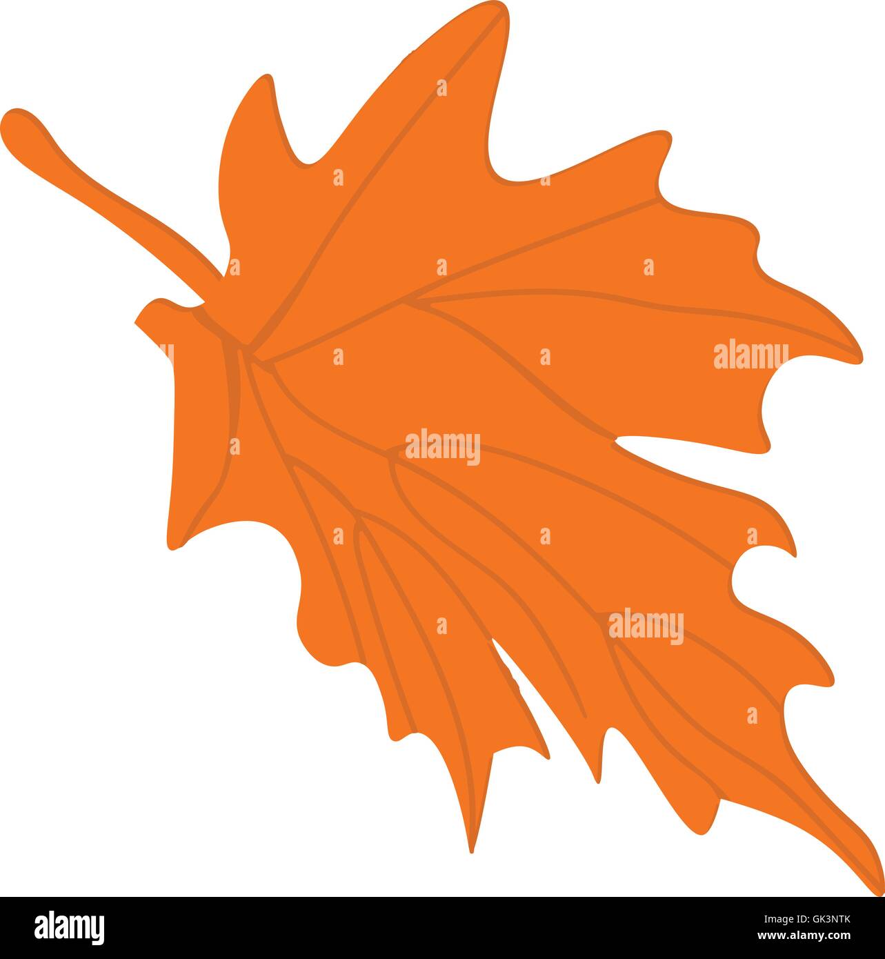 Maple leaf vector. Autumn leaves. Tree leaves vector. Fall leaf isolated. Stock Vector