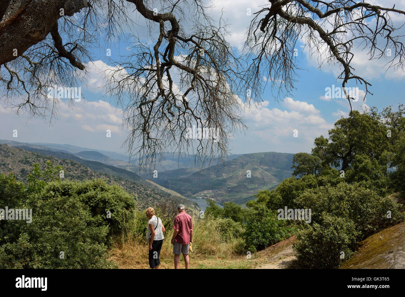 The Douro valley. Portugal. Europe Stock Photo