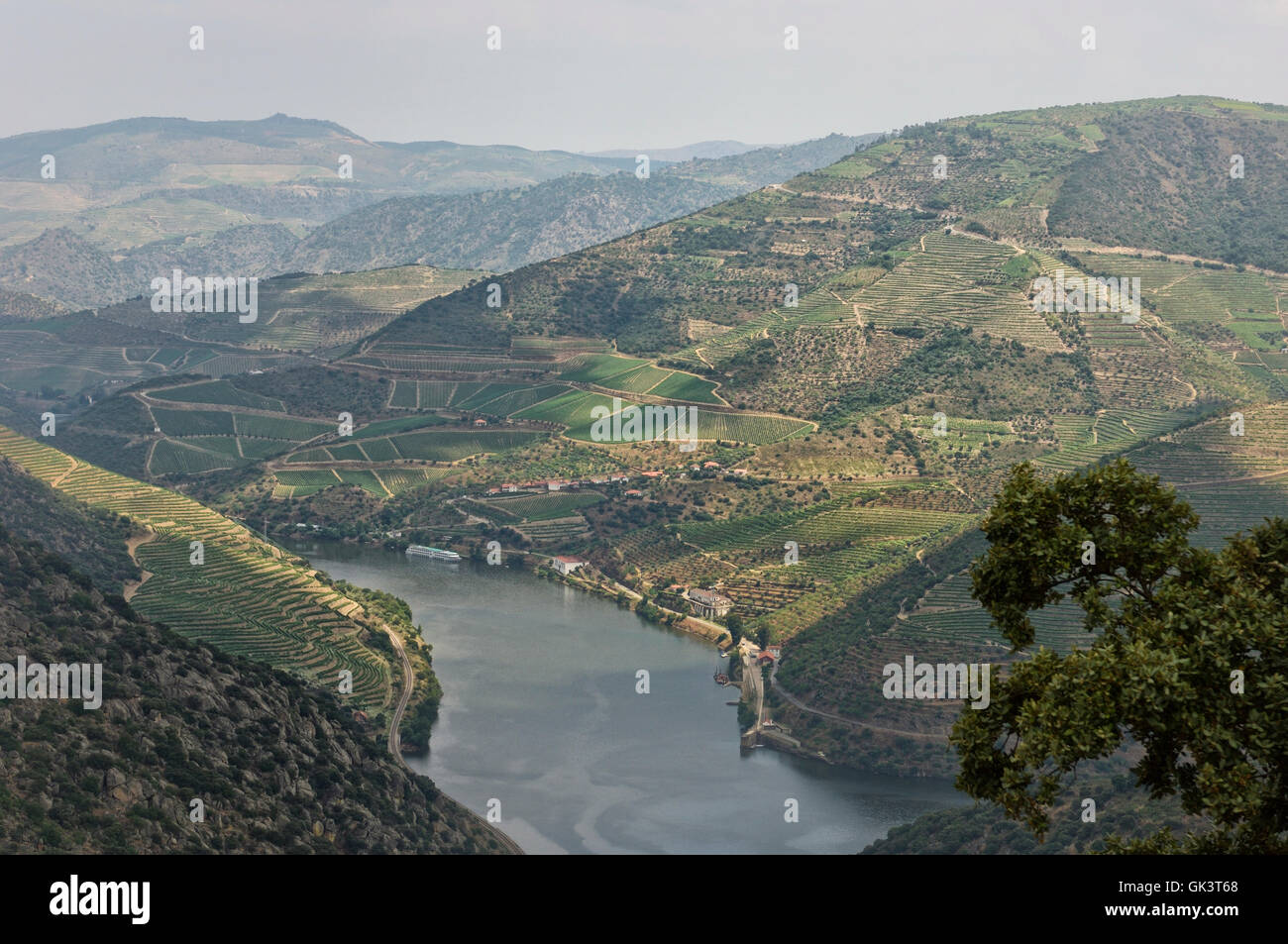 The Douro valley. Portugal. Europe Stock Photo
