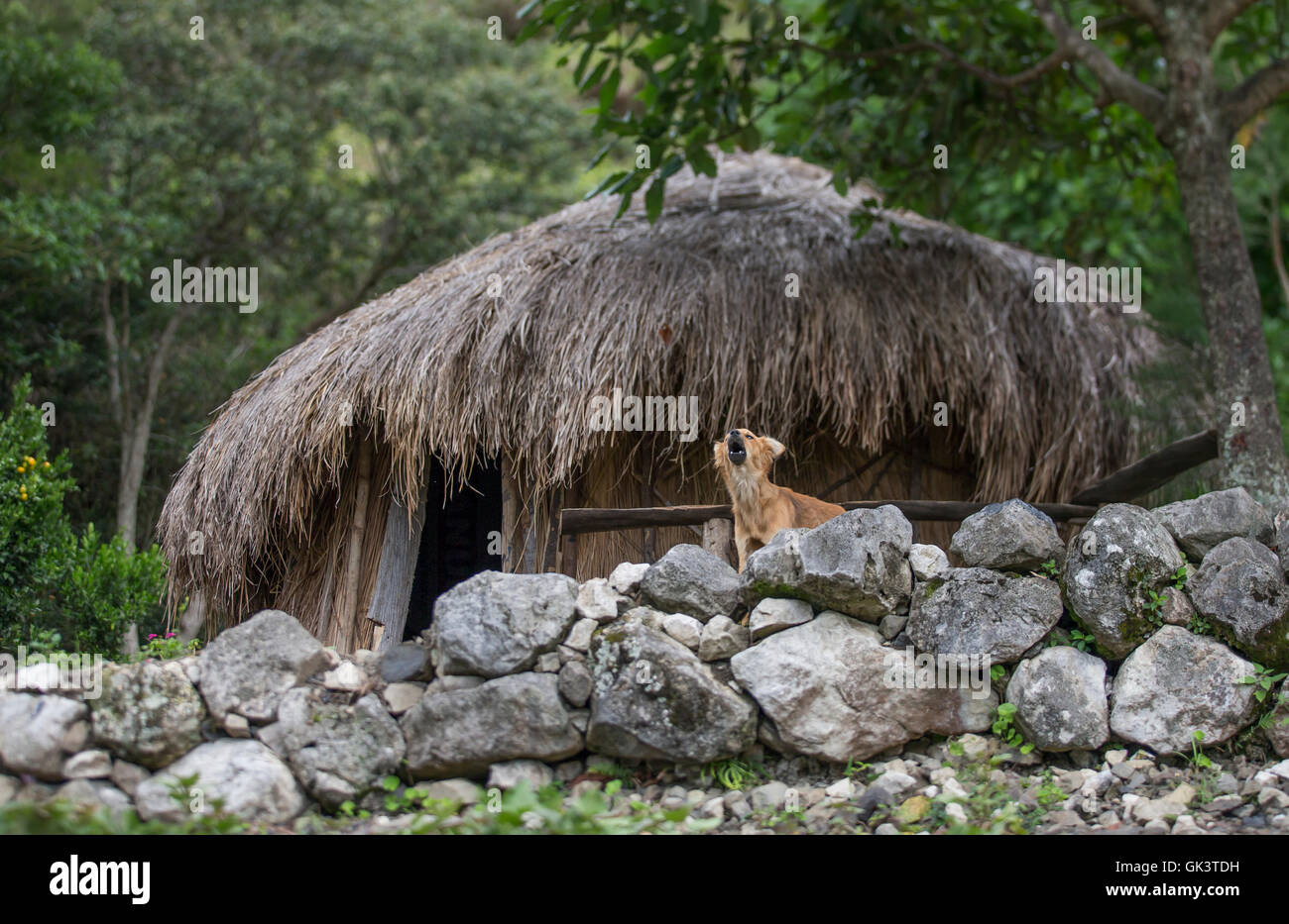 Dani tribe home in Baliem Valley, West Papua Stock Photo