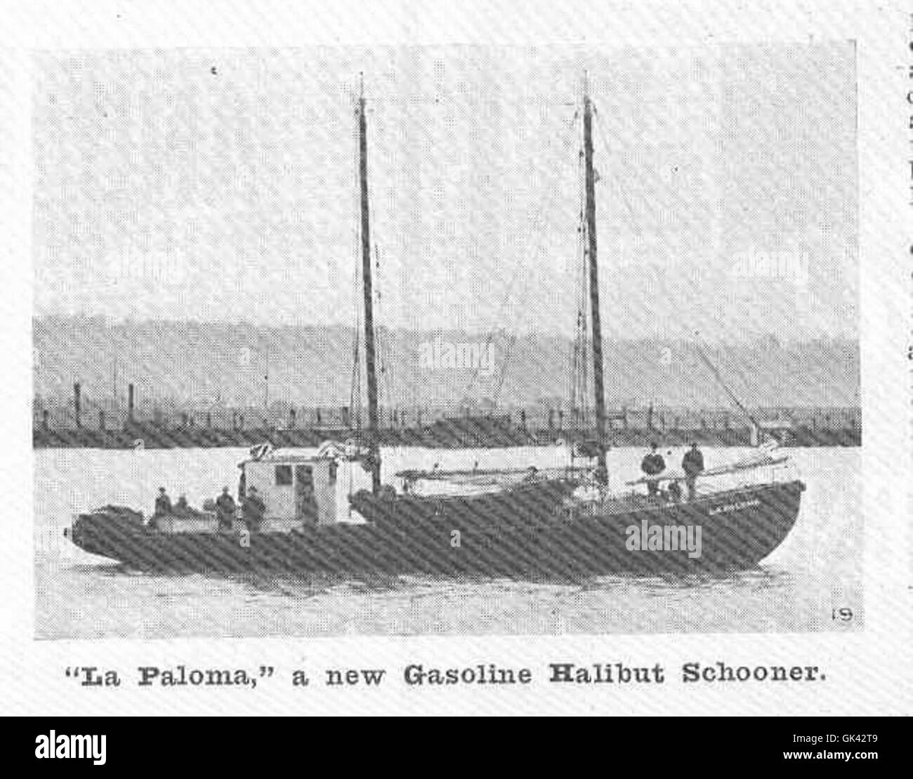 44527 La Paloma, a new Gasoline Halibut Schooner Stock Photo Alamy