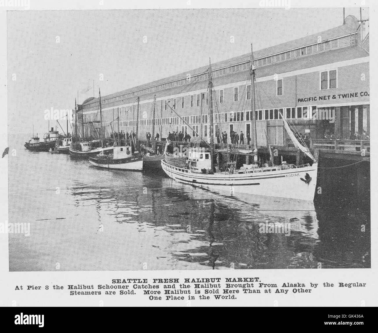 44761 Seattle Fresh Halibut Market At Pier 8 the halibut schooner