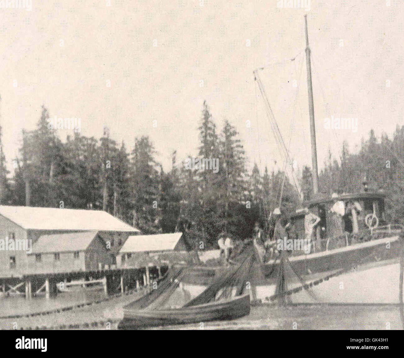 44996 Catching Alaska Herring Near a Wakefield Cannery Stock Photo