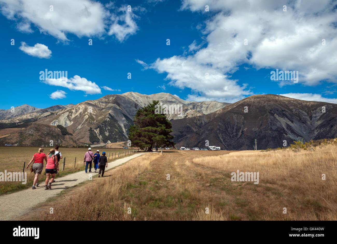 Weird landscape of Castle Hill in Southern Alps, Arthur's Pass, South Island of New Zealand Stock Photo