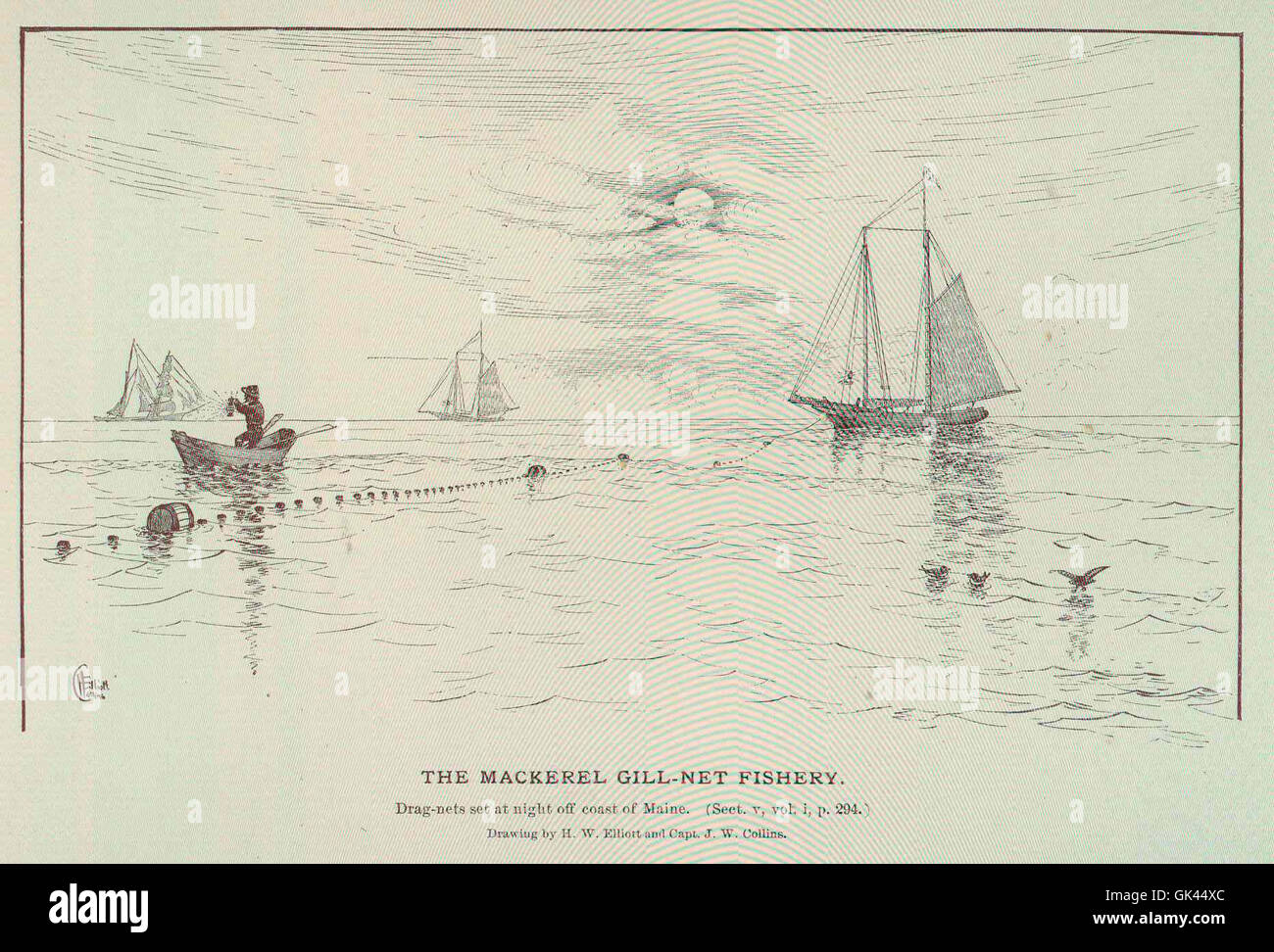 45902 Mackerel Fishery Stock Photo Alamy