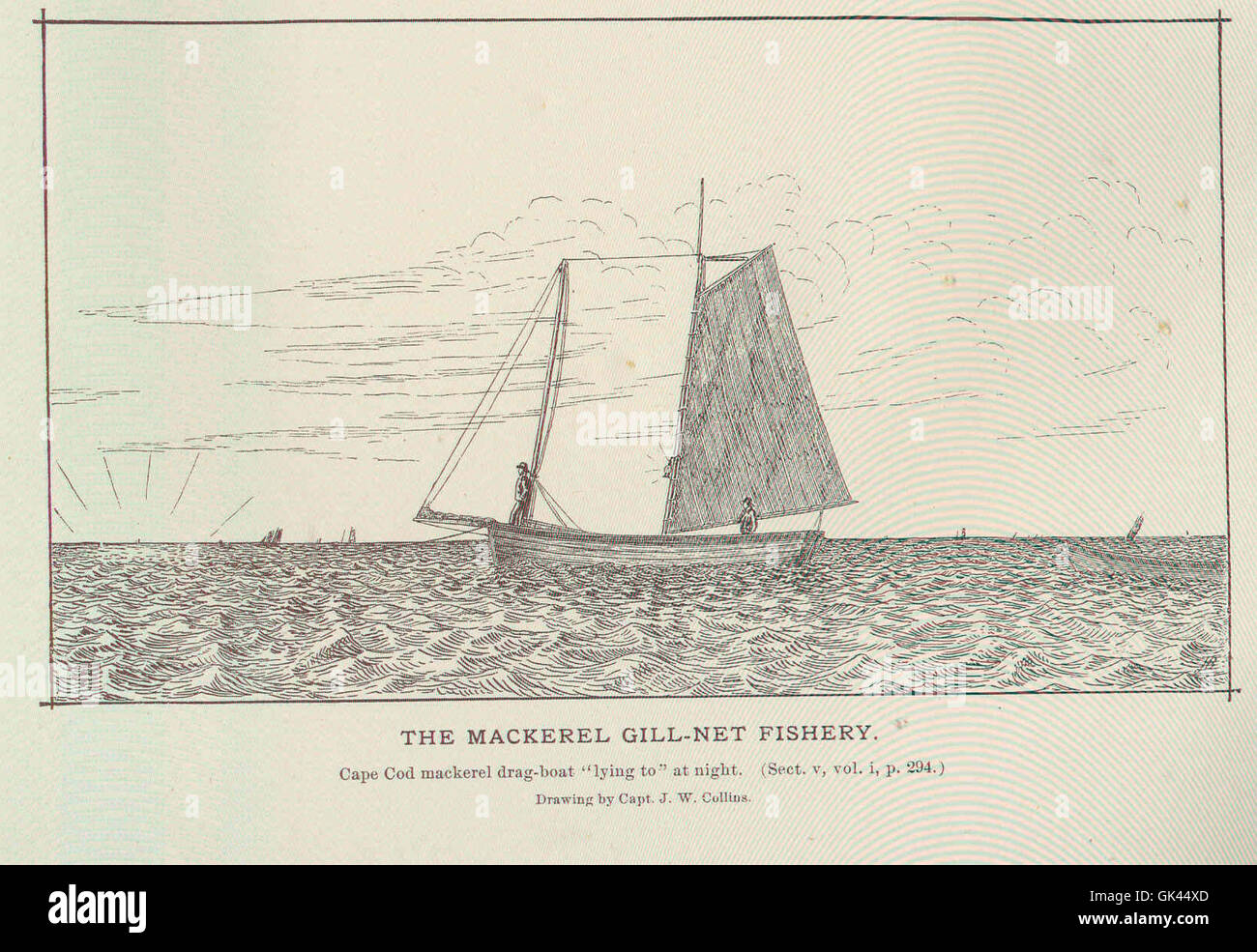 45903 Mackerel Fishery Stock Photo Alamy