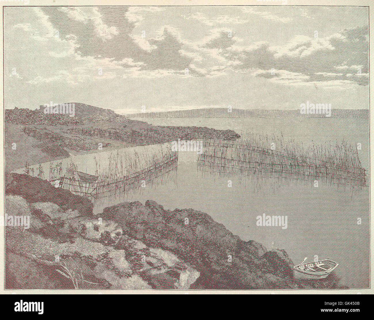 45940 Sardine Industry Stock Photo Alamy