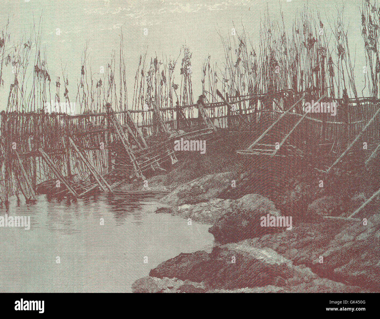 45943 Sardine Industry Stock Photo Alamy