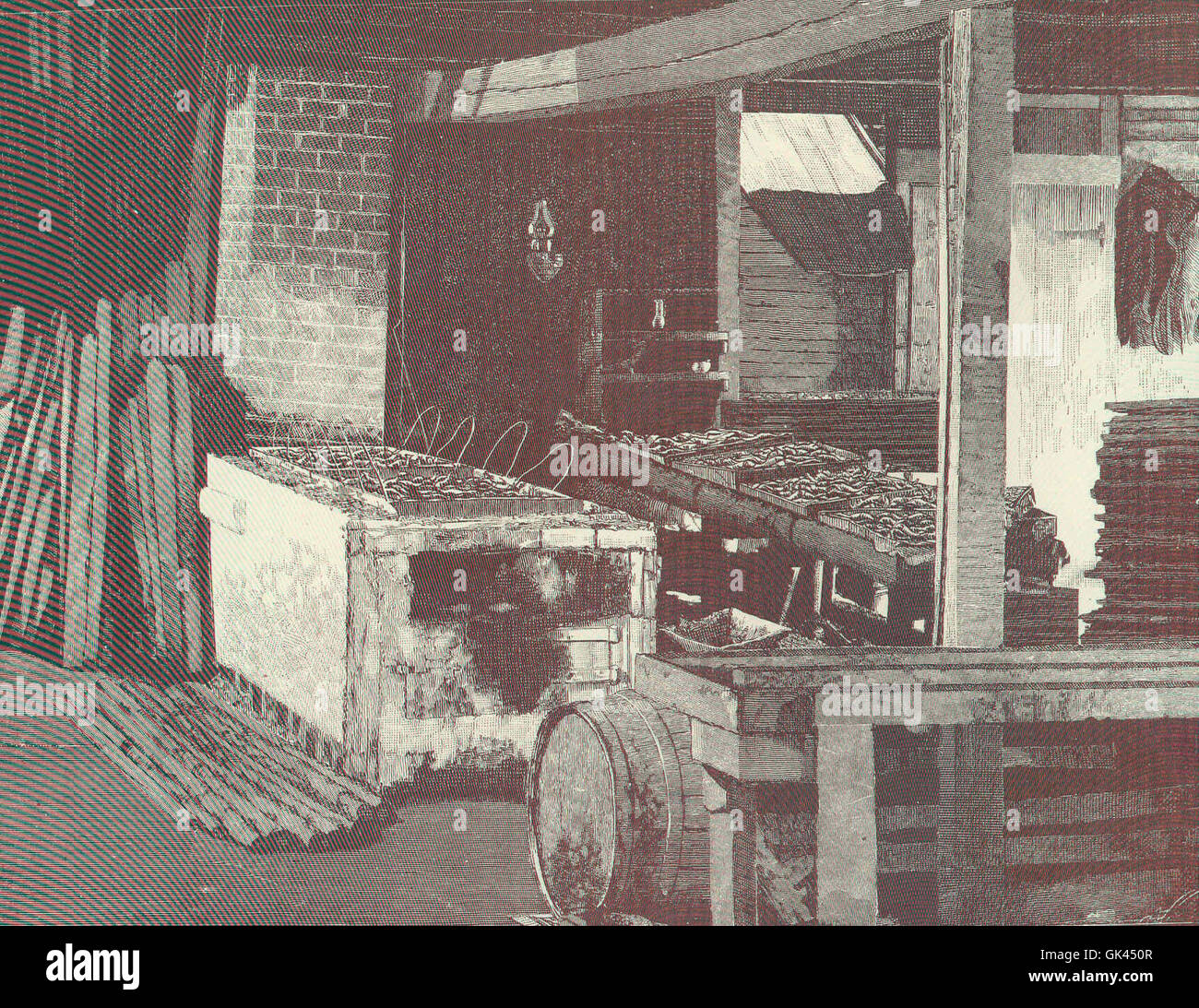 45949 Sardine Industry Stock Photo Alamy