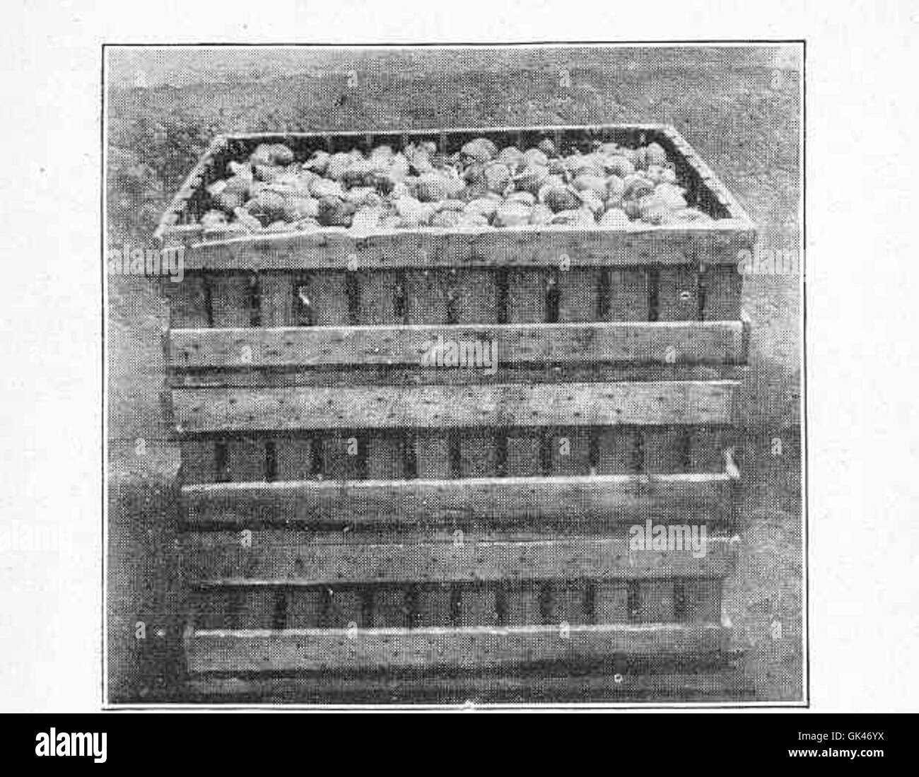 The image illustrates clay platforms, or *clayettes*, used for storing ...