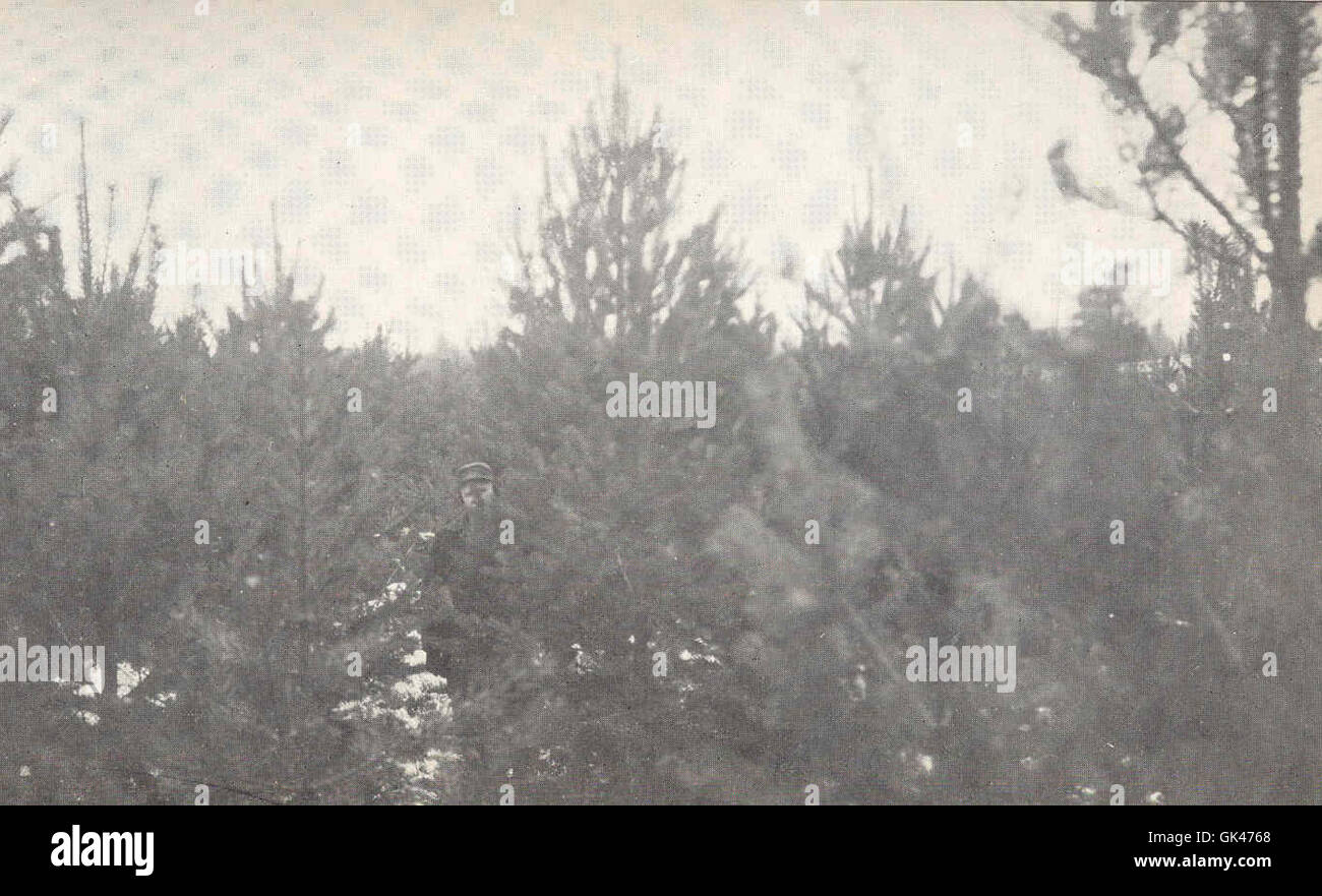 Page 2 - Y Junction High Resolution Stock Photography and Images - Alamy
