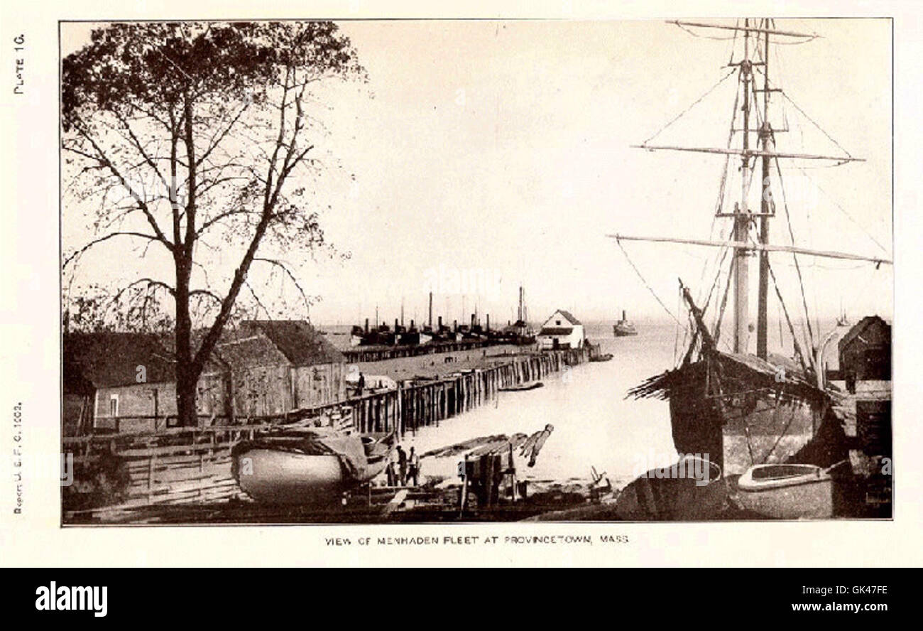 32683 View of Menhaden Fleet at Provincetown, Mass Stock Photo