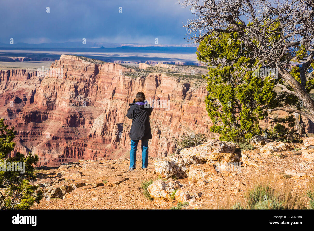 Grand Canyon Arizona Utah South Rim landscape and geological rift Stock