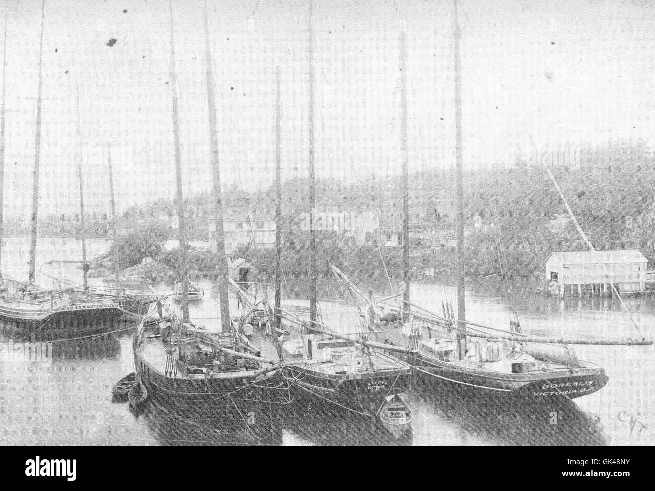 48375 Types of Sealing Schooners, Victoria Harbor, 1894 Stock Photo - Alamy