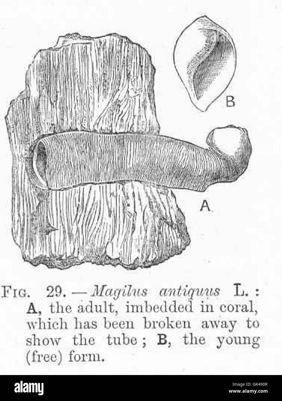 Old tube map Cut Out Stock Images & Pictures Alamy