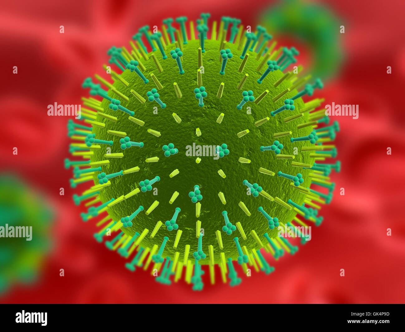 health cell biology Stock Photo