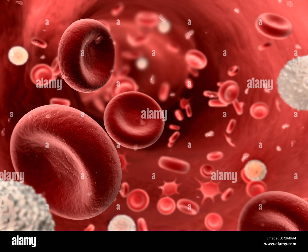 blood artery microbiology Stock Photo