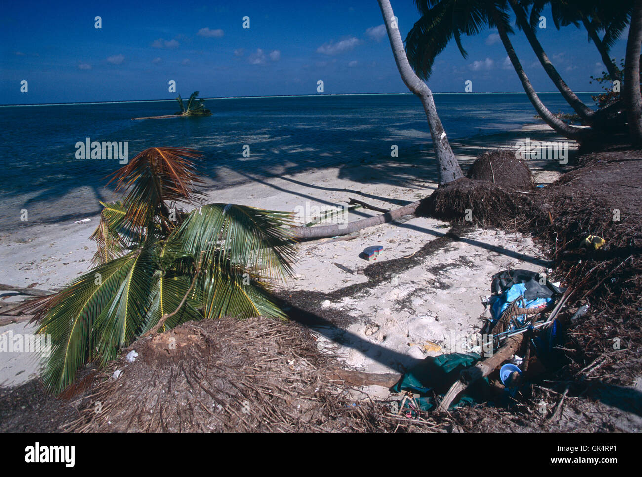 Video tsunami maldive