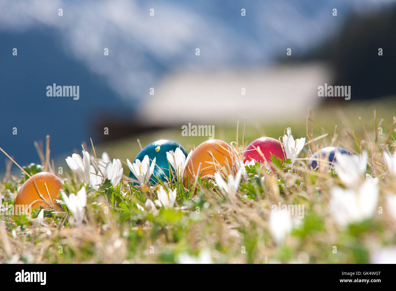 easter Stock Photo