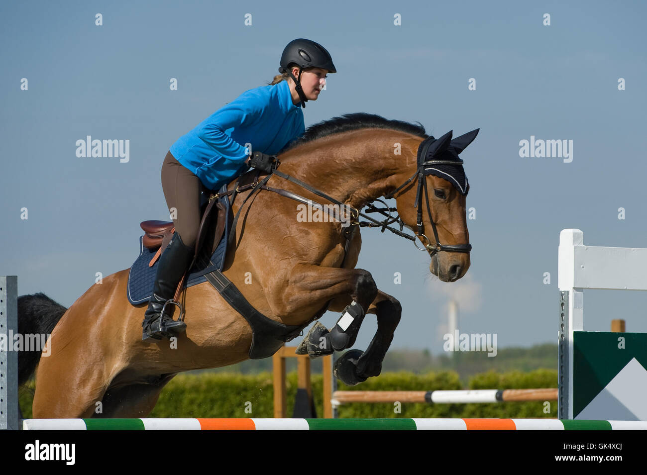 ride horse spring Stock Photo - Alamy
