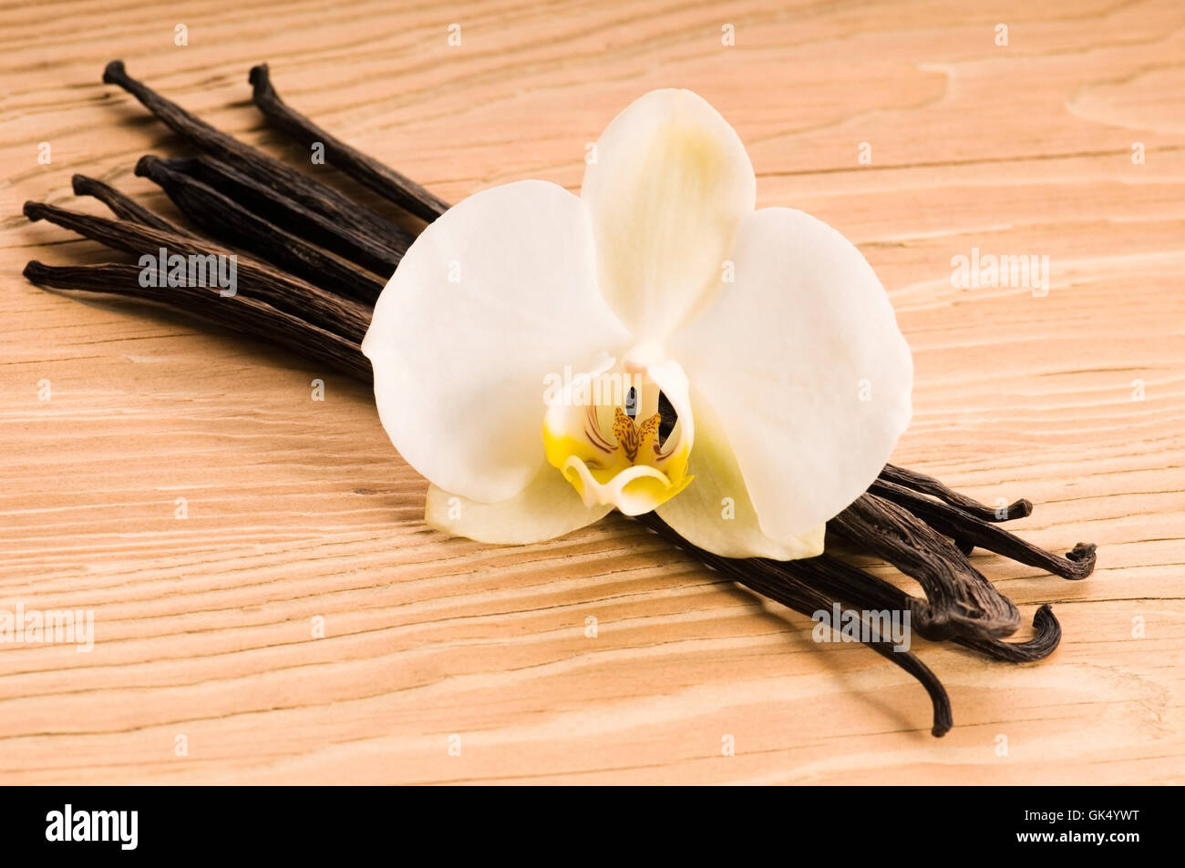 spice flower plant Stock Photo Alamy