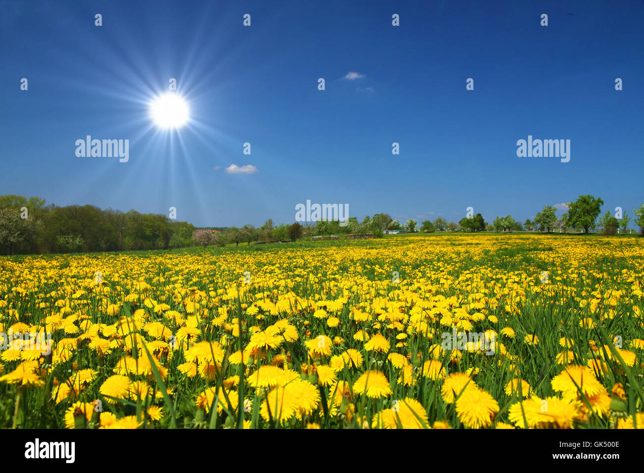 Spring summer holidays vacation hi-res stock photography and images - Alamy