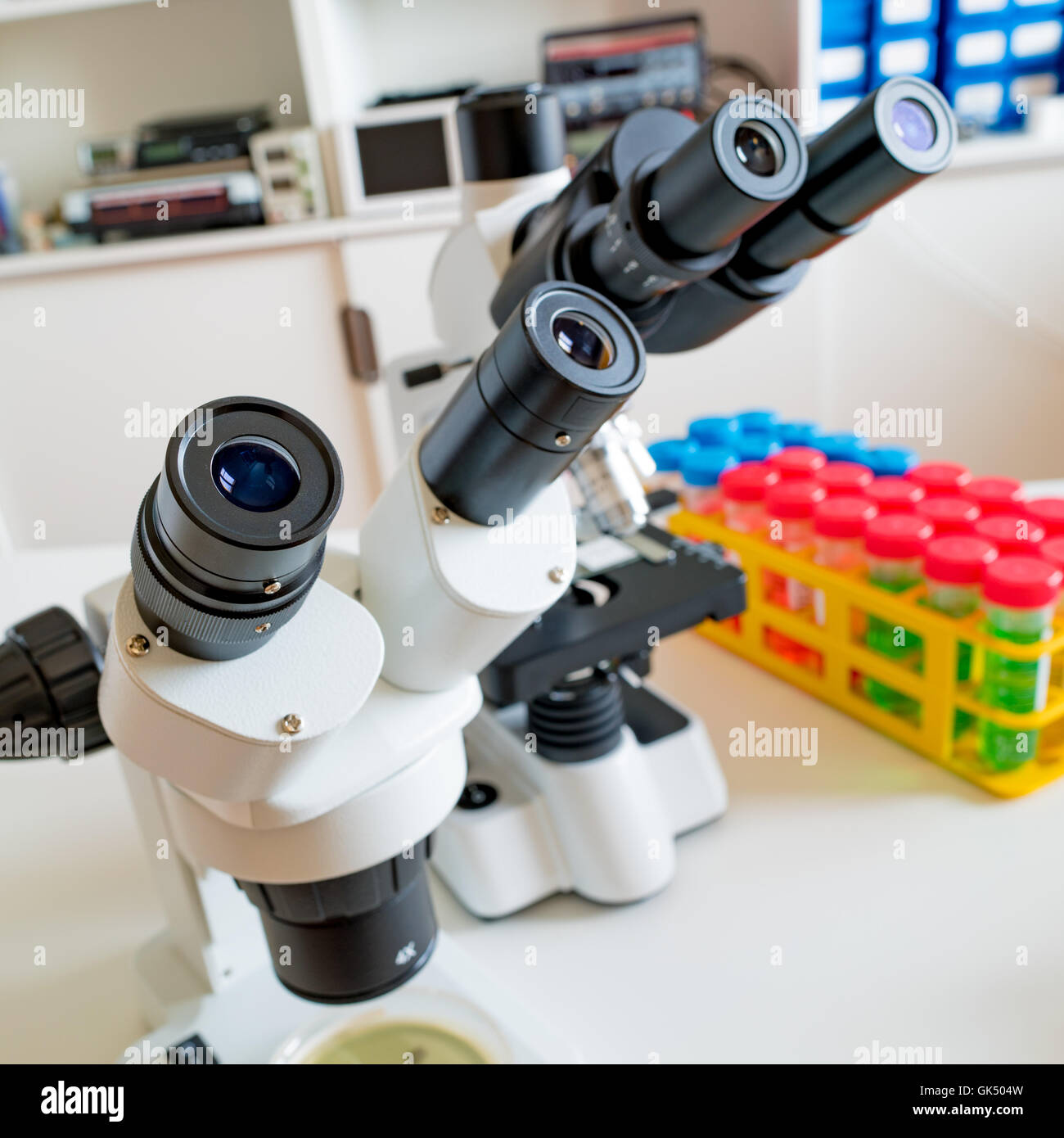 Lab Bench Stock Photos Lab Bench Stock Images Page 2 Alamy