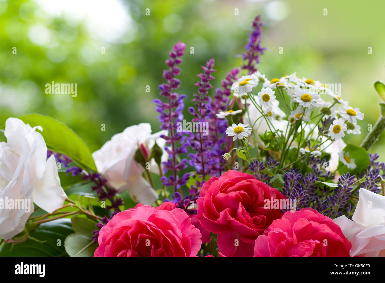 bouquet of roses with lavender Stock Photo