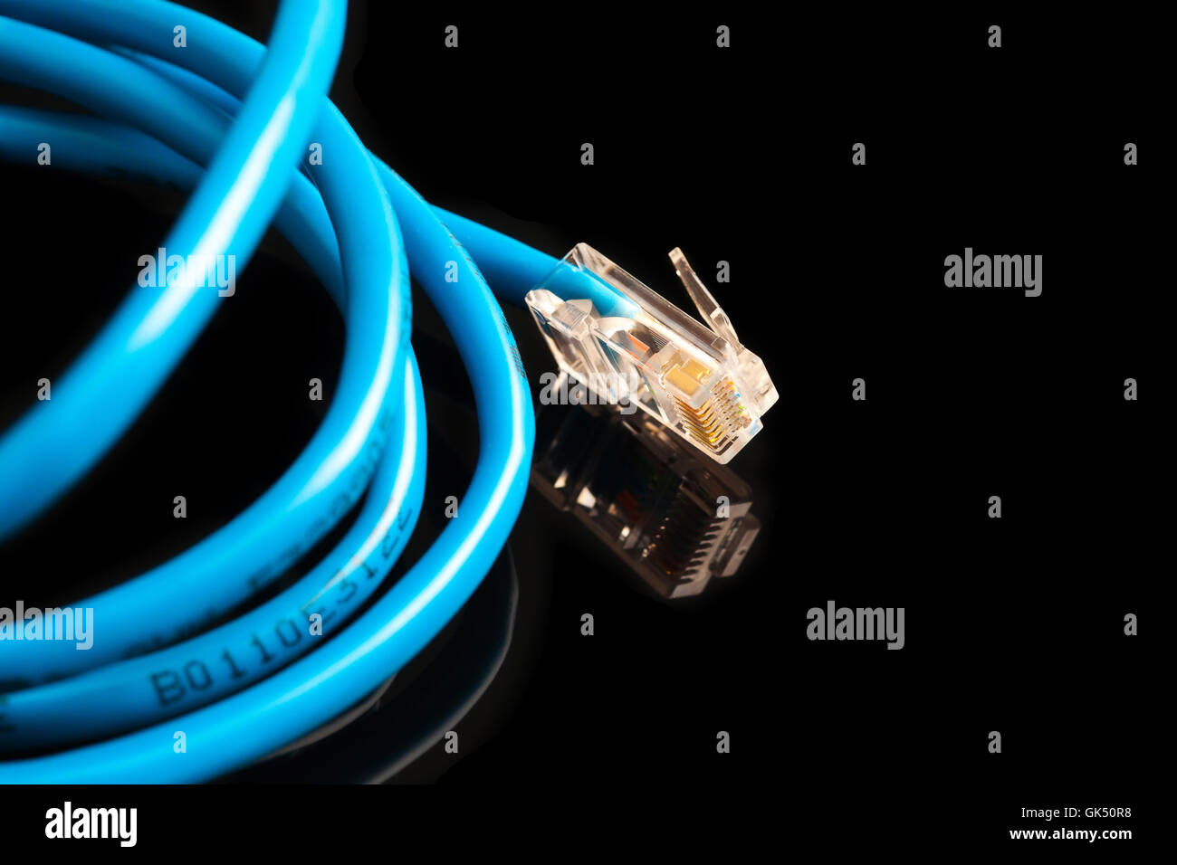 Blue computer ethernet cable isolated on black background, close-up ...