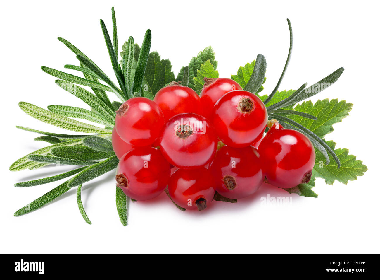 Ingredients for redcurrant sauce. Pile of Red currant  with Rosemary. Clipping paths, shadow separated, infinite depth of filed Stock Photo