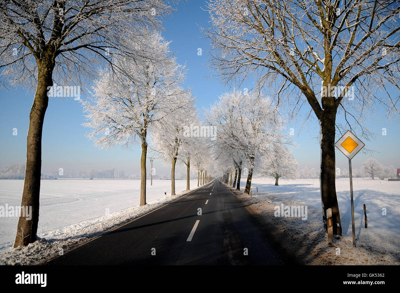 winter in germany Stock Photo Alamy