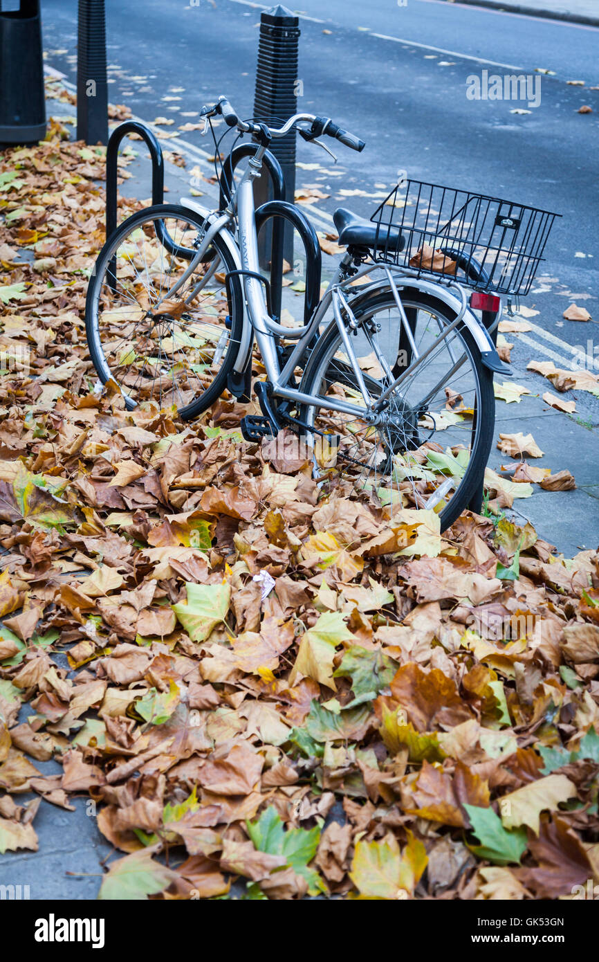 silver bike basket