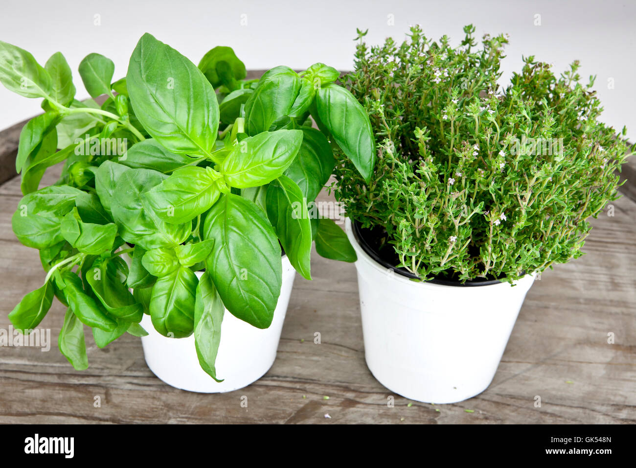 basil and thyme Stock Photo Alamy