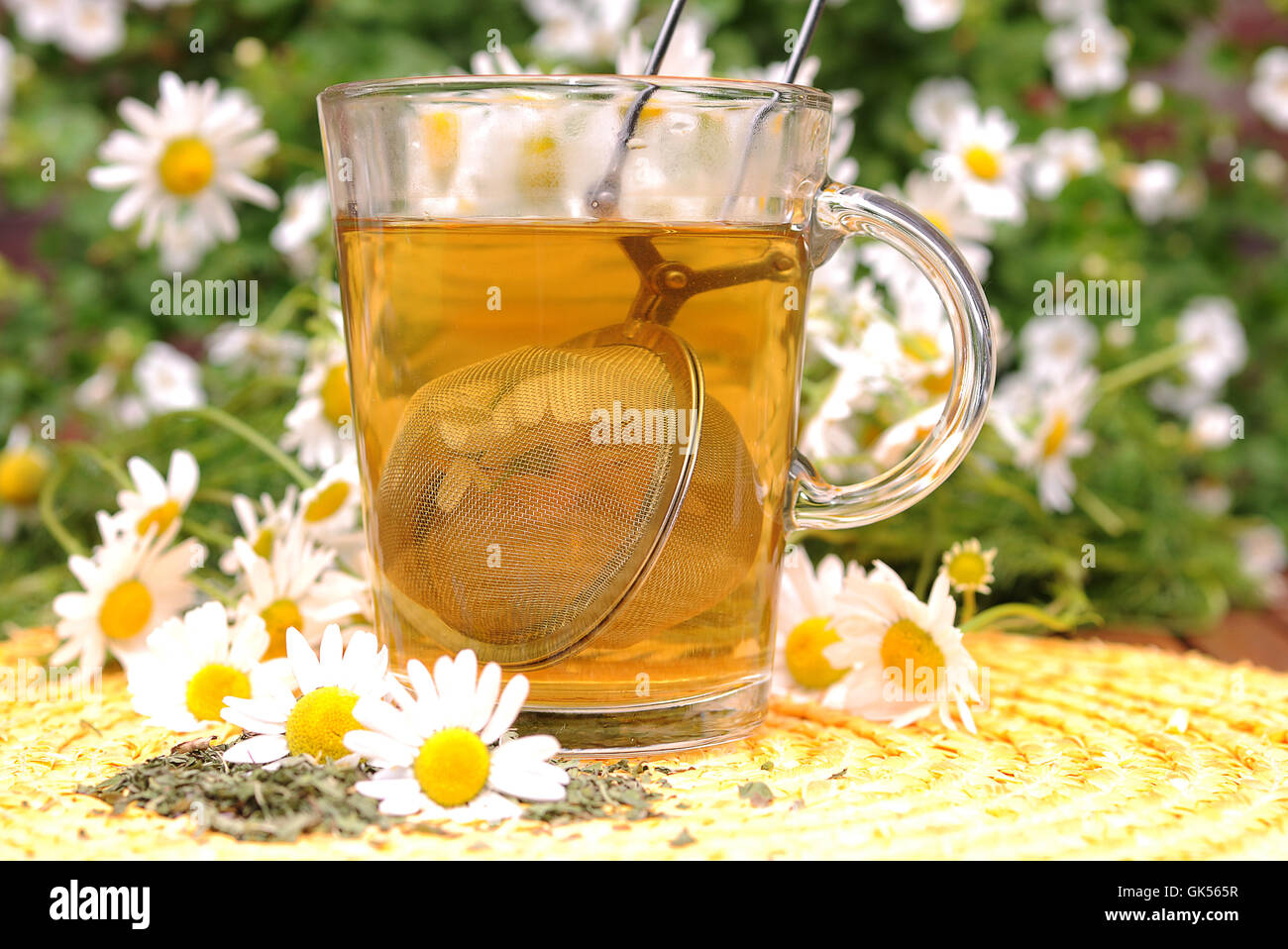 camomile tea Stock Photo