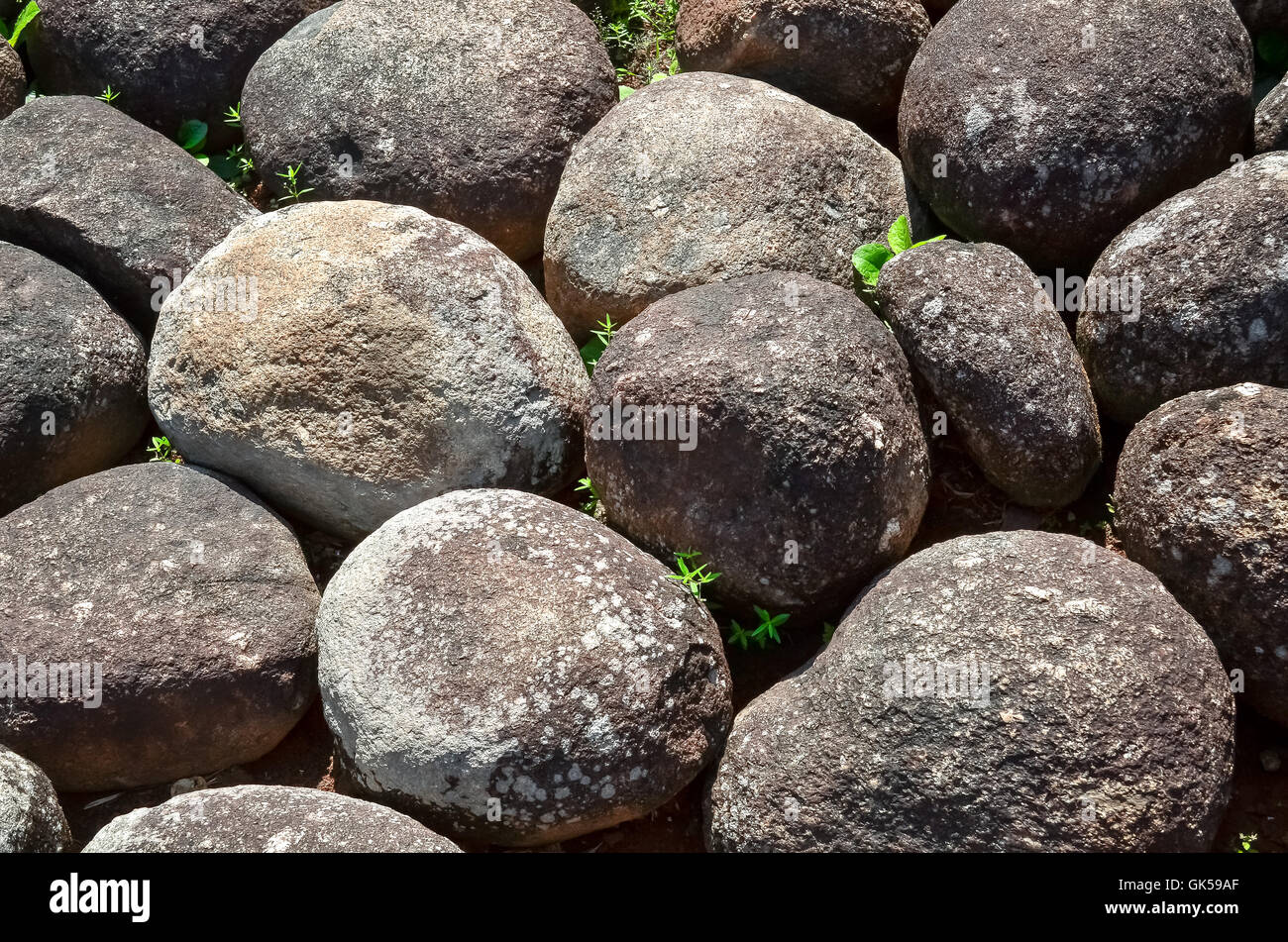 abstract background with dry round feeble stones Stock Photo