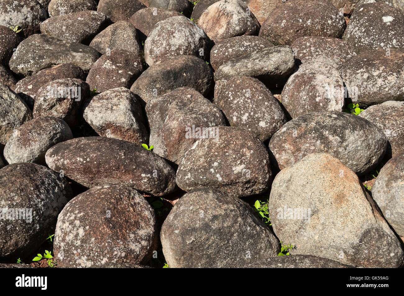 abstract background with dry round feeble stones Stock Photo