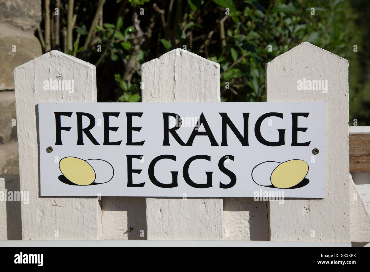Free Range Egg Sign on Fence Stock Photo