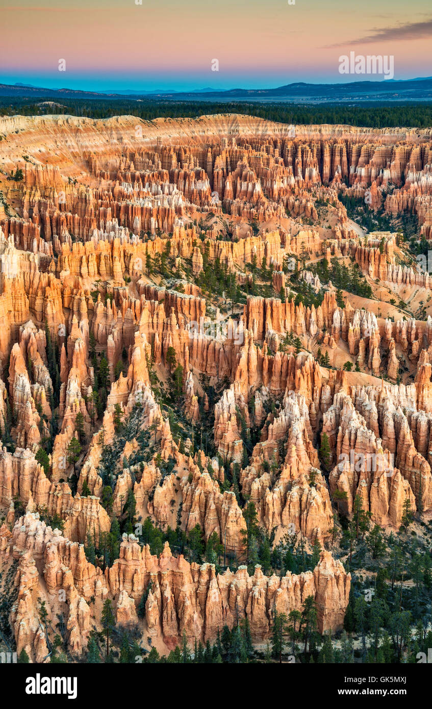 Bryce Canyon at dawn, view from Bryce Point, Bryce Canyon National Park, Utah, USA Stock Photo