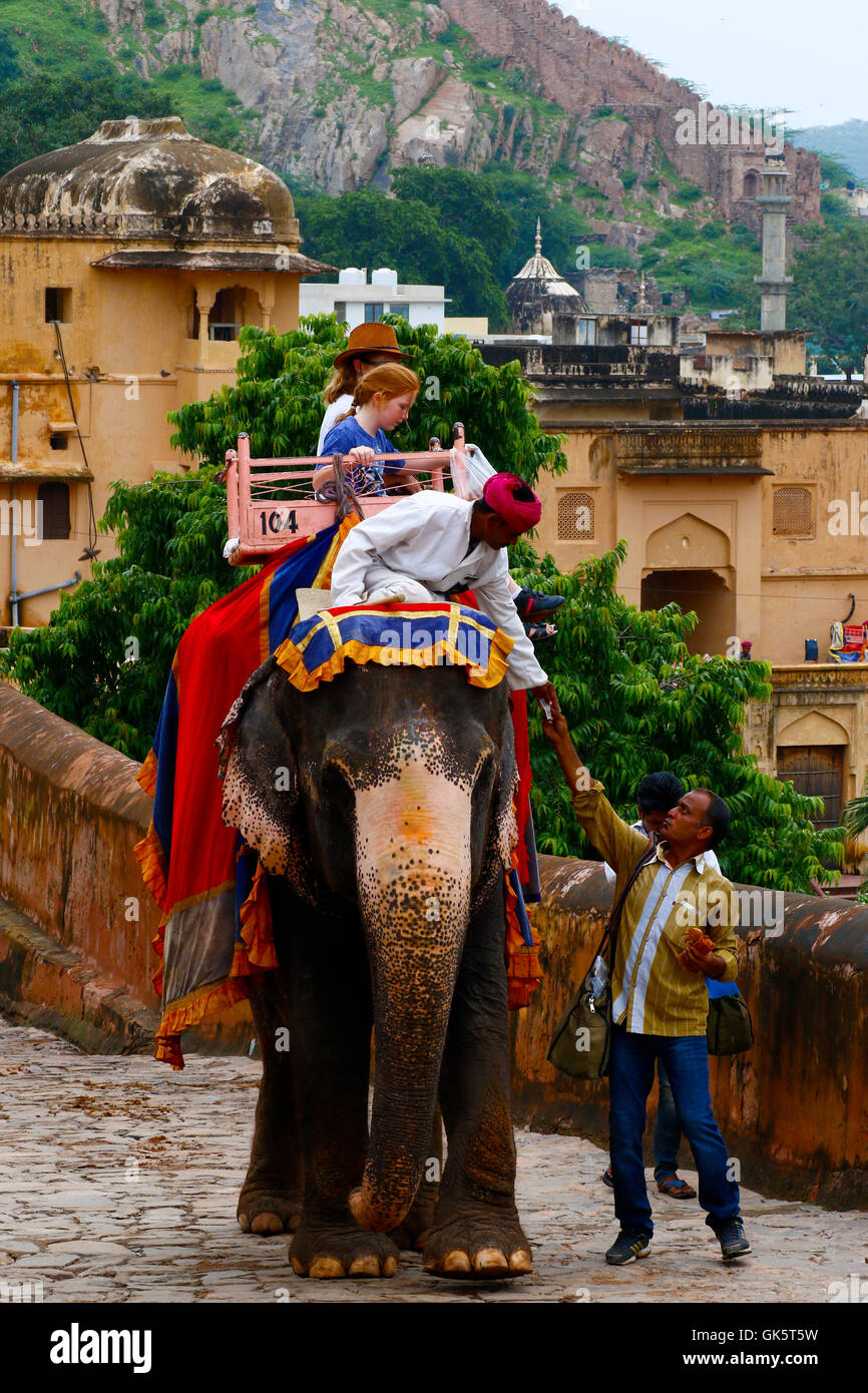 Foreigners Riding Elephant At Amer Fort, Jaipur Stock Photo - Alamy