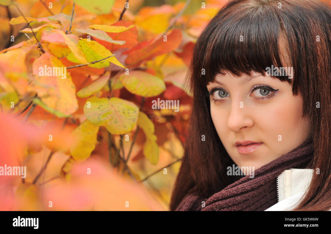 The girl in an autumn forest Stock Photo - Alamy