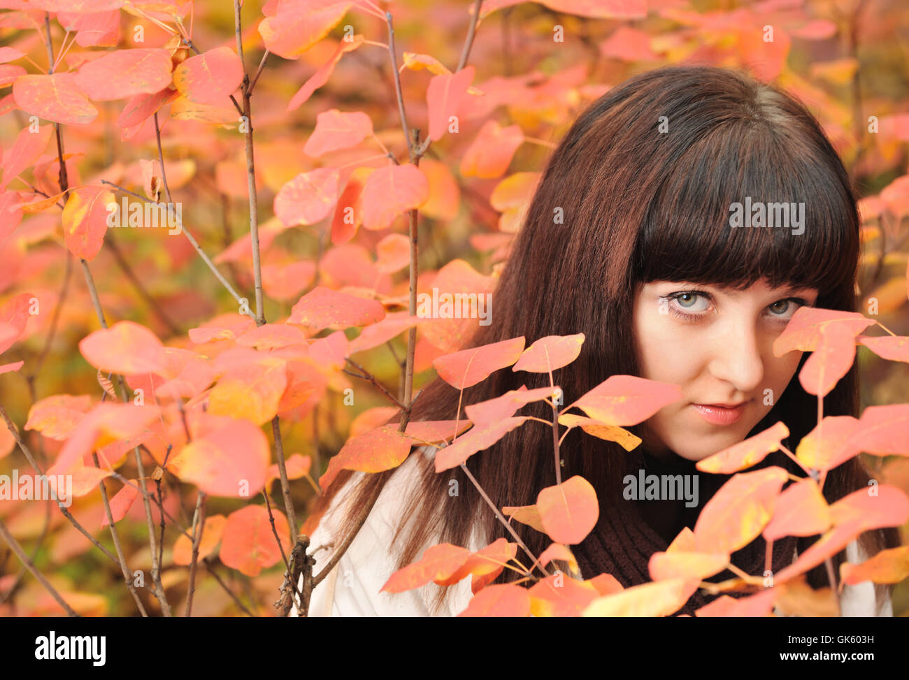 The girl in an autumn forest Stock Photo - Alamy
