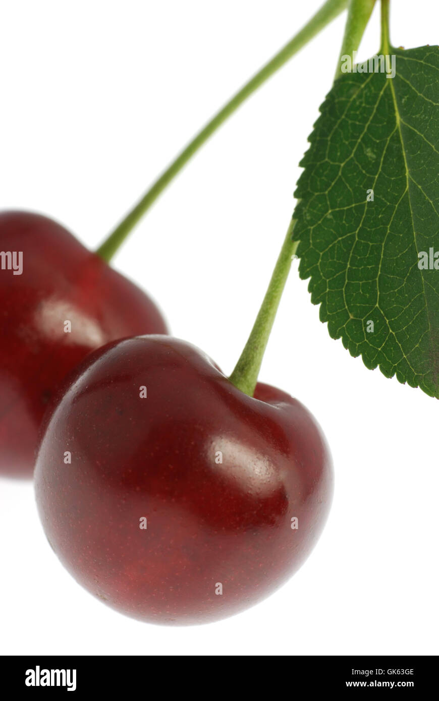 two cherry with leaf Stock Photo