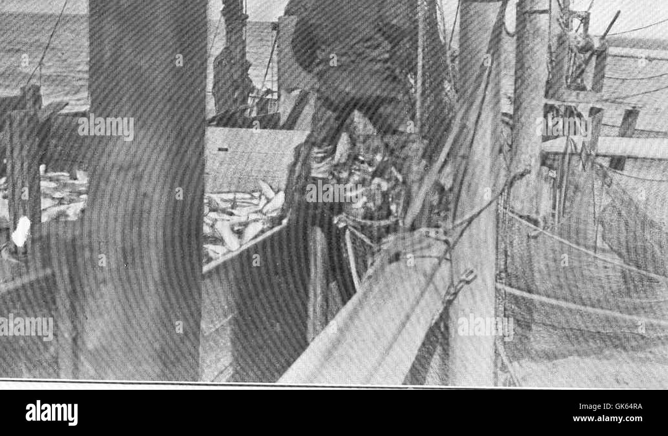 Brailing a trap involves the process of lifting and emptying fish traps ...