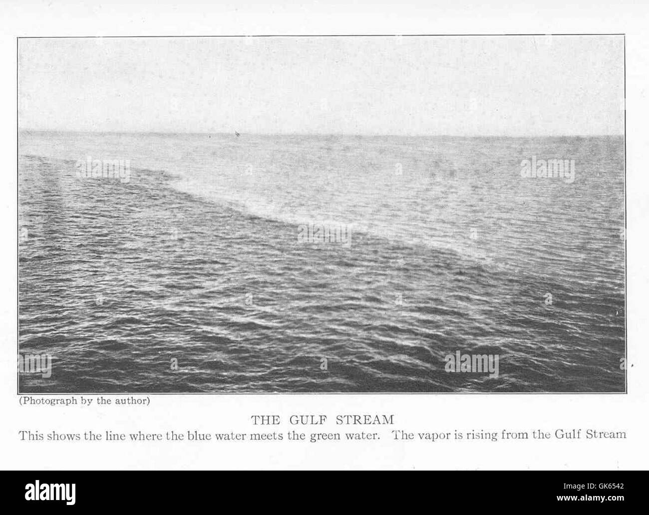 49245 Gulf Stream - This shows the line where the blue water meets the ...